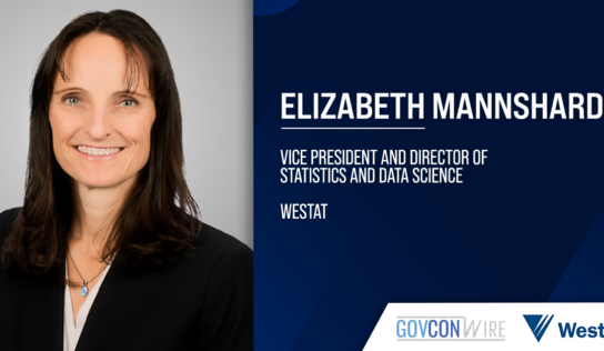 Elizabeth Mannshardt Appointed Westat VP, Director of Statistics & Data Science